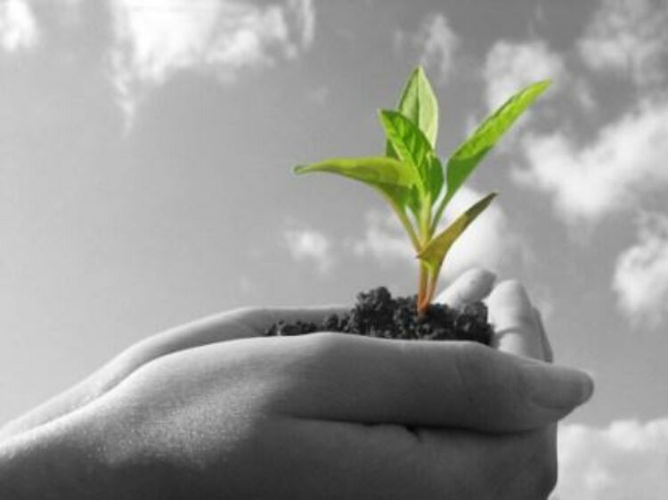 Informe: nuevas cooperativas creadas
