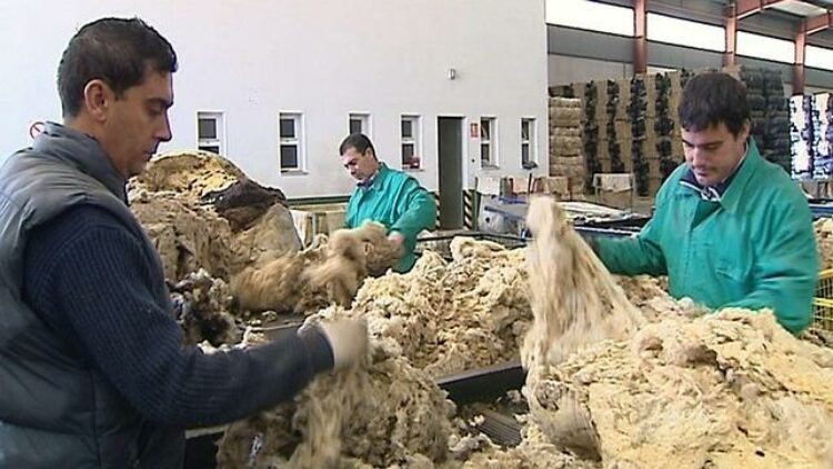 «Las cooperativas generan 287.000 empleos en España», ABC 6 de julio de 2013