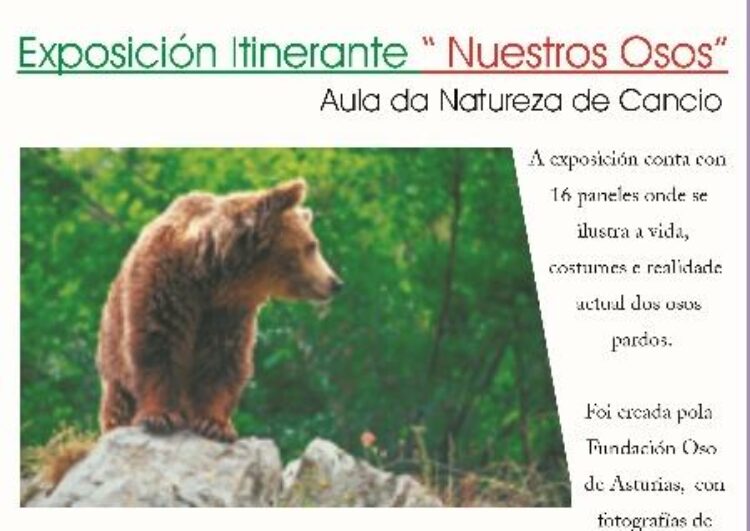 Comuna organiza la exposición itinerante «Nuestros Osos»