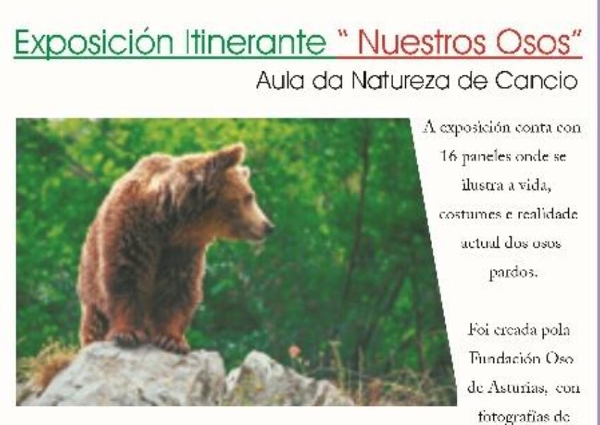 Comuna organiza la exposición itinerante «Nuestros Osos»
