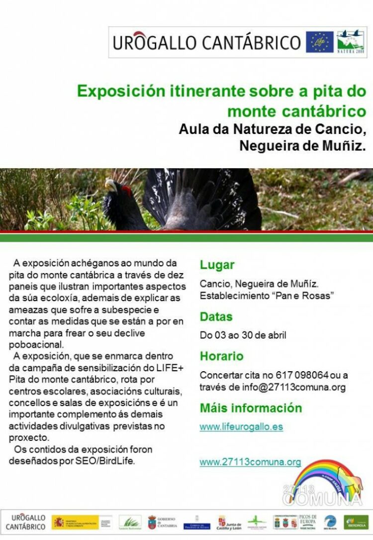 Exposición sobre el Urogallo Cantábrico, organiza la cooperativa Comuna