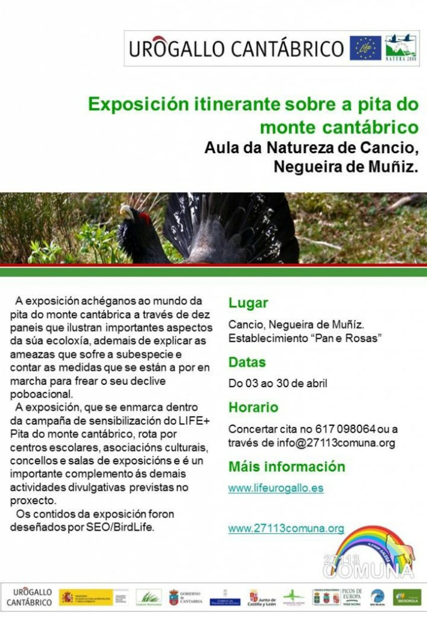 Exposición sobre el Urogallo Cantábrico, organiza la cooperativa Comuna