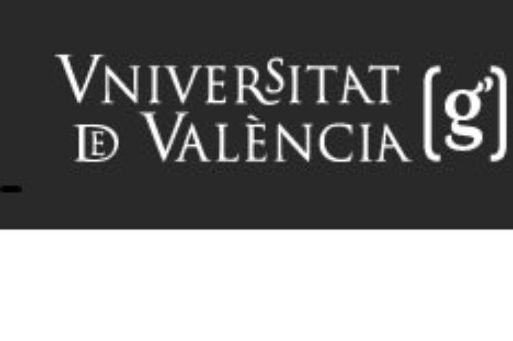 Cursos de verán: Emprendemento social e banca ética