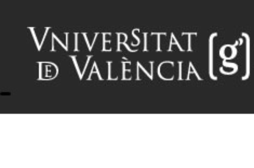 Cursos de verán: Emprendemento social e banca ética