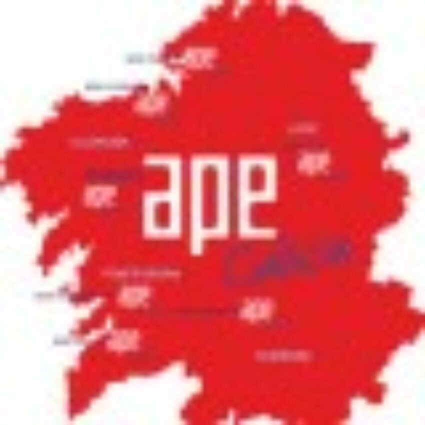 Curso: Oportunidades de negocio de las cooperativas y de la economía social | APE Galicia