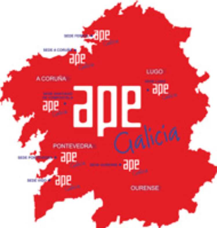 Curso: Oportunidades de negocio das cooperativas e da economía social | APE Galicia