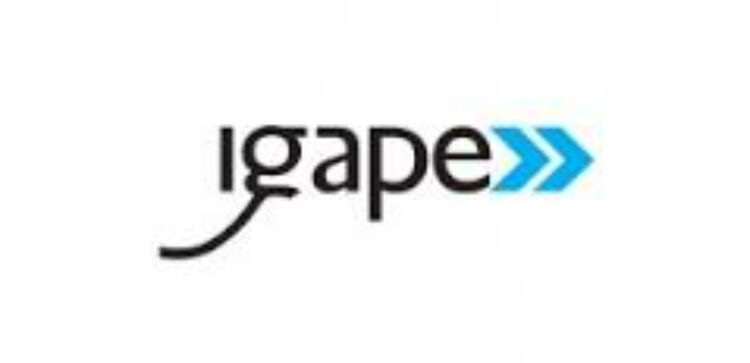 Axudas do IGAPE para a promoción conxunta en mercados exteriores – Plan Primex.