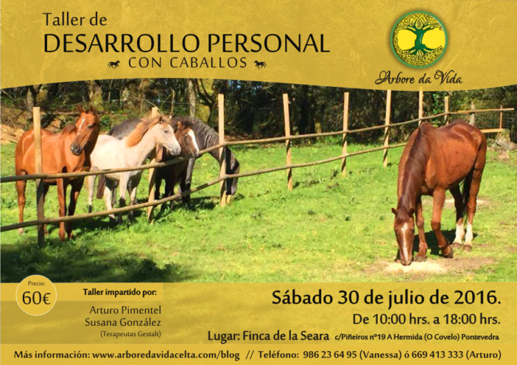 Talleres de verano | Árbore da Vida, S. Coop. Galega