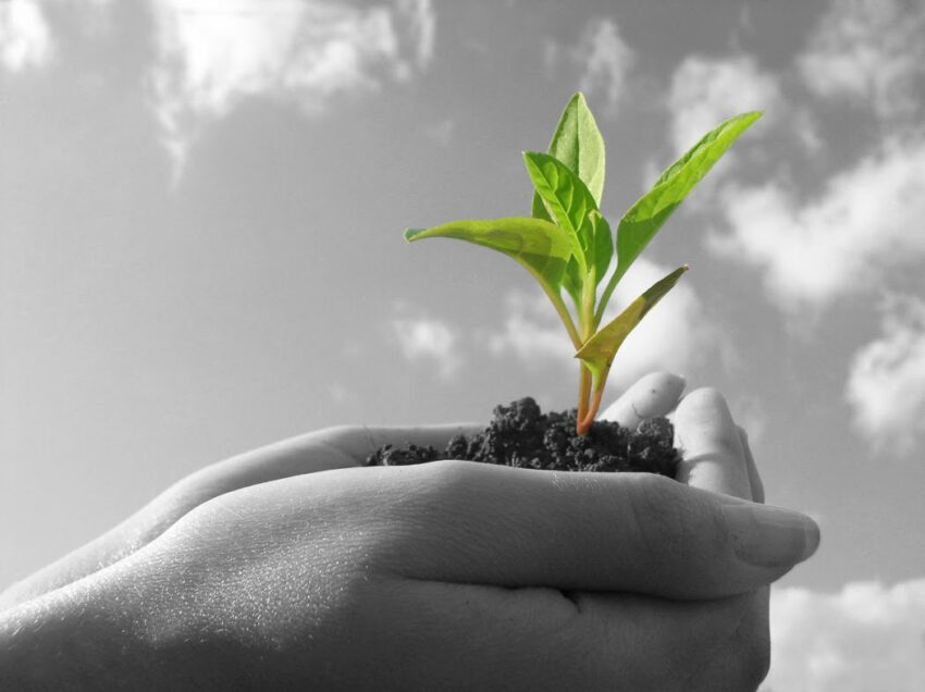Seminarios «Creación de Emprego a través da Economía Social», A Coruña | Inscríbete!