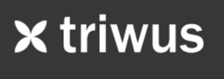 Triwus, cooperativa especializada en diseño y desarrollo web, celebran la «Quincena de Internet»