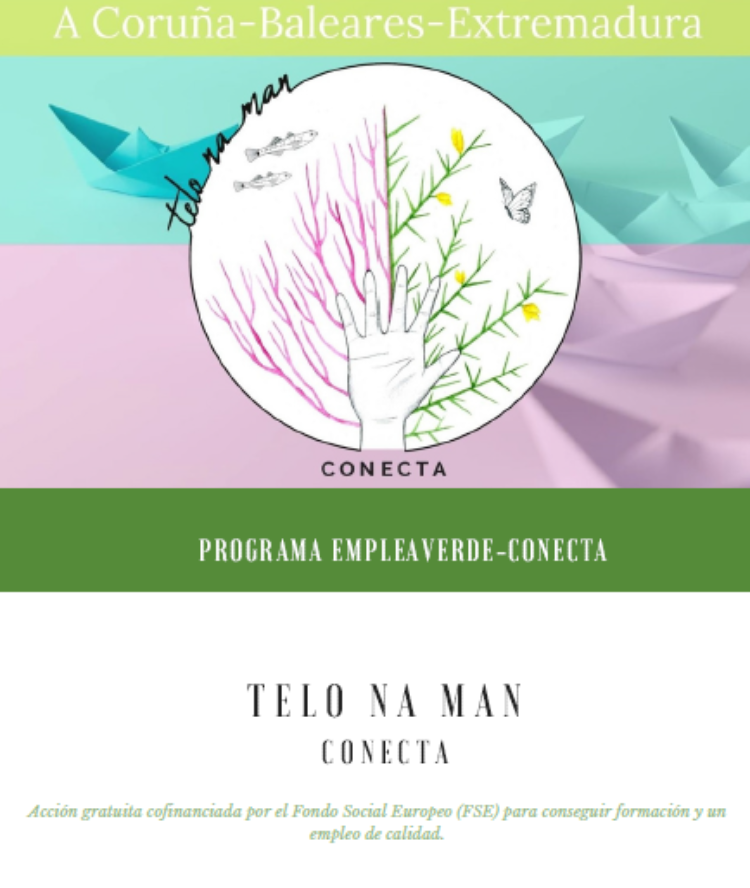 Telo na man Conecta
